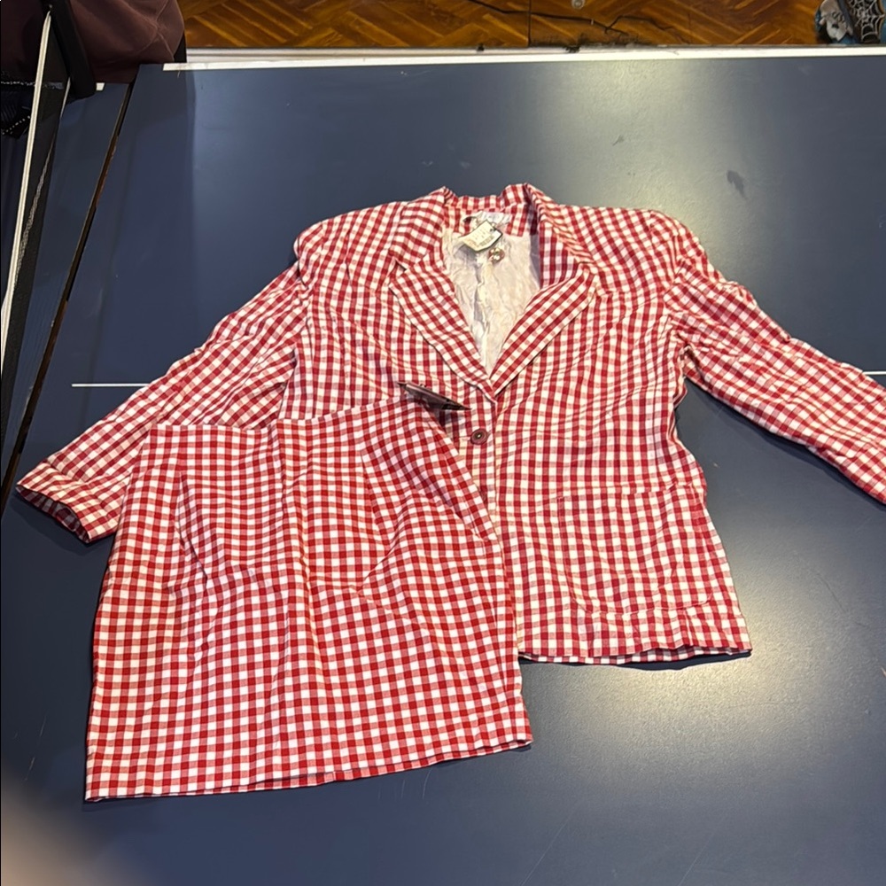 The Limited Red and White Checkered Blazer and Skirt Set